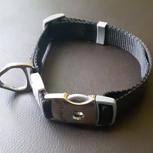 A NWOT dog collar...